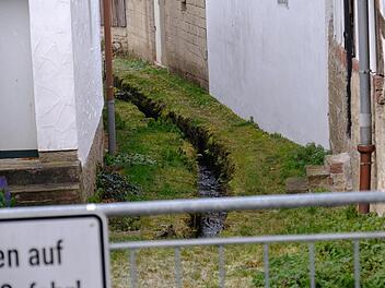 Im Rahmen der Dorferneuerung zu sanieren: der Sulzbach. Der Marktgemeinderat Sulzthal hat in den Haushalt bereits Gelder für das Projekt eingestellt. Foto: Gerd Schaar