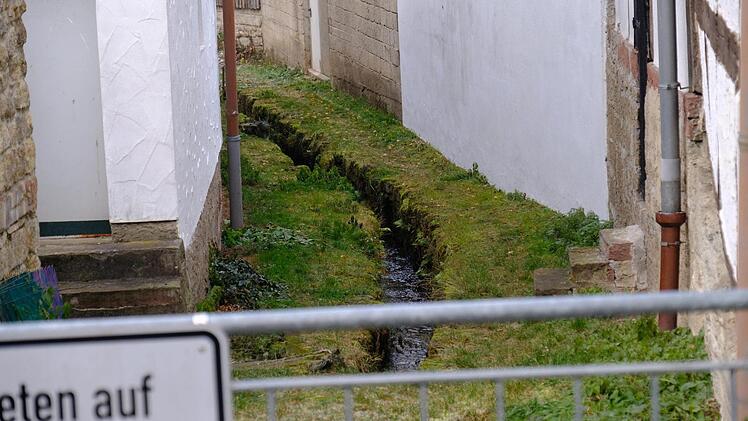 Im Rahmen der Dorferneuerung zu sanieren: der Sulzbach. Der Marktgemeinderat Sulzthal hat in den Haushalt bereits Gelder für das Projekt eingestellt. Foto: Gerd Schaar