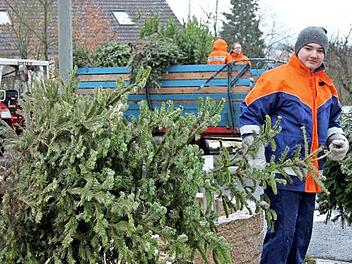 Von den Grundstücken und am Straßenrand sammelte die Pfarrweisacher Jugendfeuerwehr die Christbäume ein.  Fotos: Günther Geiling