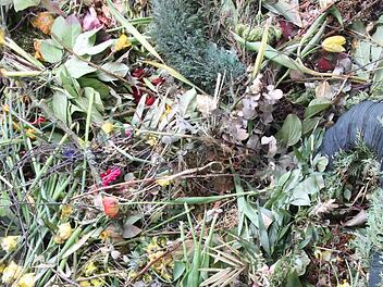 Die Abfalltrennung in Friedhöfen läuft auch in der Gemeinde Oerlenbach nicht immer zur Zufriedenheit. Foto: Heike Beudert