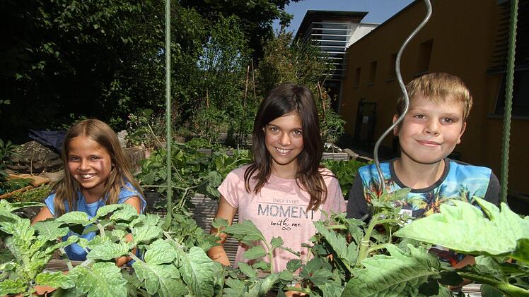 Satine Bork (v.l.), Leah Gonzalez und Tom Finke sind ein Teil des Gartenteams und haben bei dem prächtigem Wachstum der eigenen Tomaten offensichtlich "grüne Daumen".  Foto: Michael Busch