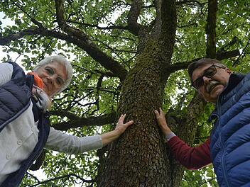 Andrea und Roland Schmitt aus Oberehrenbach hegen und pflegen 2,5 Hektar an hohen, alten Baumbeständen. Foto: Ronald Heck