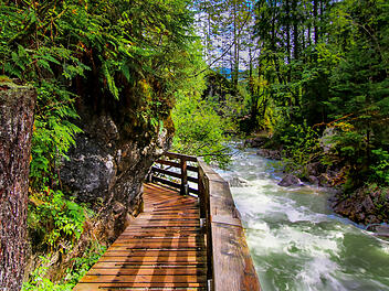 Deutschlands beliebteste W&auml;lder - Platz 1: Zauberwald