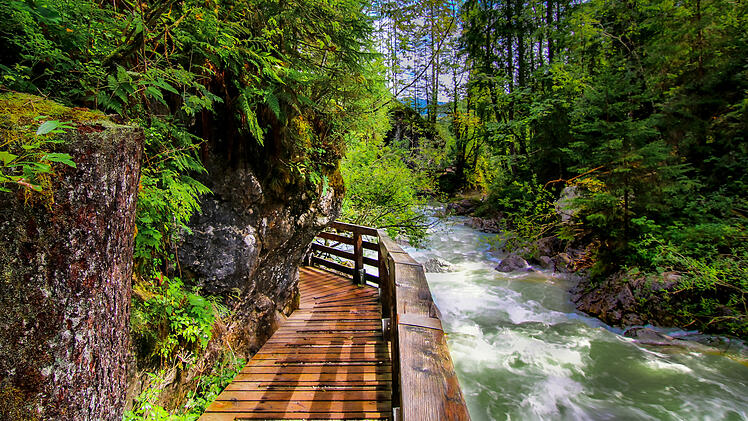 Deutschlands beliebteste W&auml;lder - Platz 1: Zauberwald