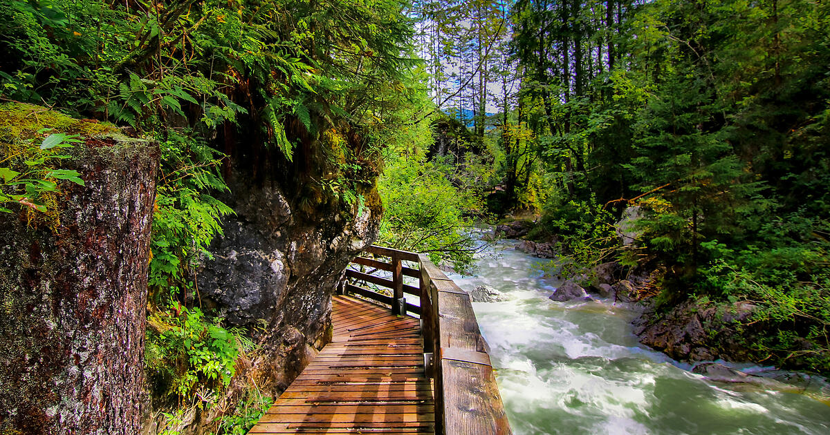 Neues Ranking zeigt: Das ist Deutschlands beliebtester Wald 2026