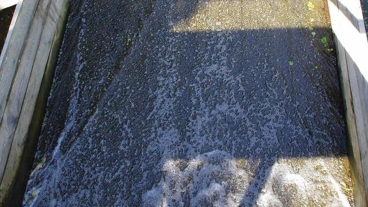 An der Wilden Rodach. Foto: Marco Meißner