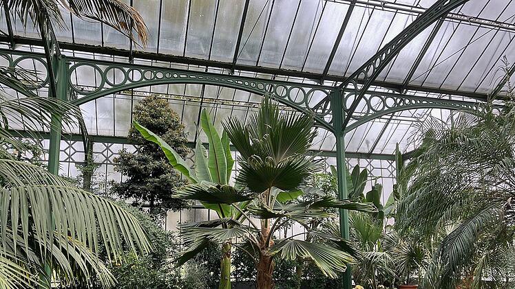 Die Bepflanzung im "Wintergarten" ist an historische Darstellungen angelehnt.