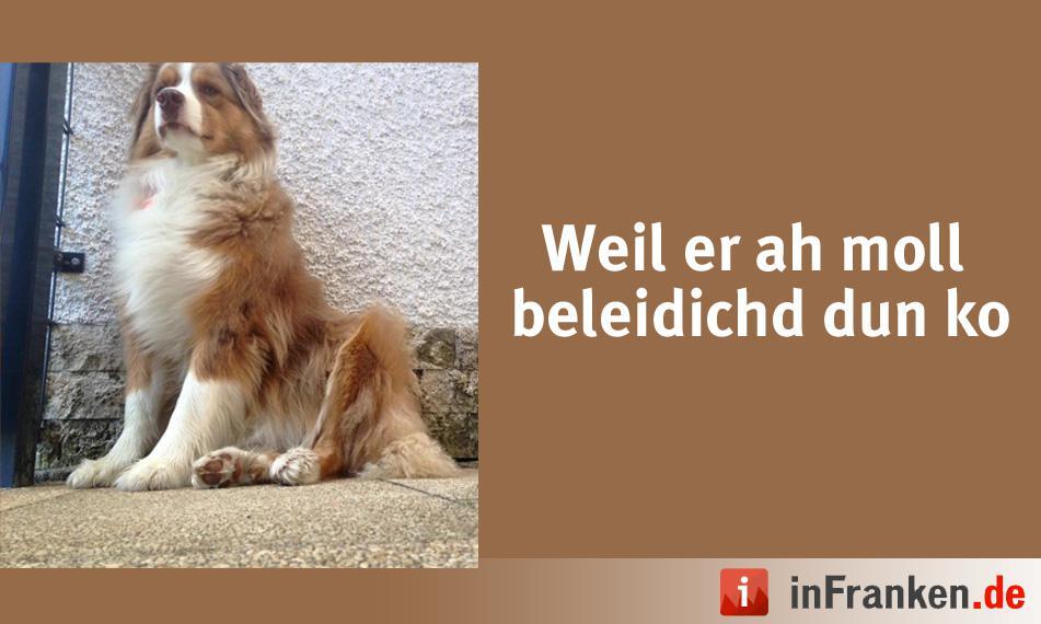 Foto: Christin Hammon