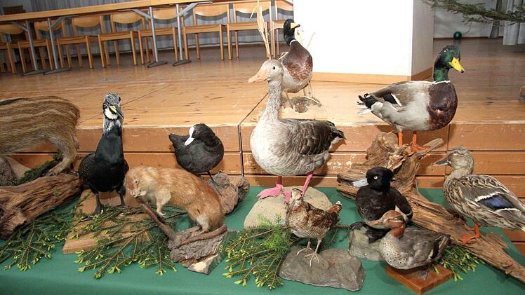 Foto: Richard Sänger