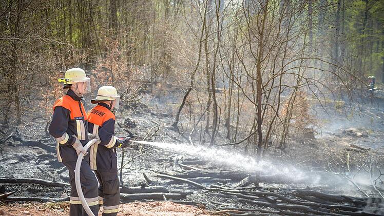 In der Nähe der A3 in Unterfranken ist es am Ostermontag zu einem Waldbrand gekommen. Foto: Benedict Rottmann