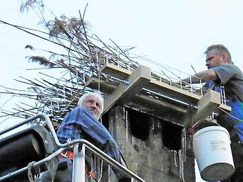 Schilf, Hackschnitzel, Heu und Äste verteilten die menschliche Helfer sorgfältig auf dem Nestunterbau.  Fotos: Günther Schramm
