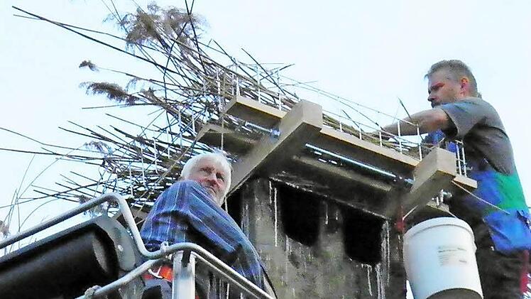 Schilf, Hackschnitzel, Heu und Äste verteilten die menschliche Helfer sorgfältig auf dem Nestunterbau.  Fotos: Günther Schramm