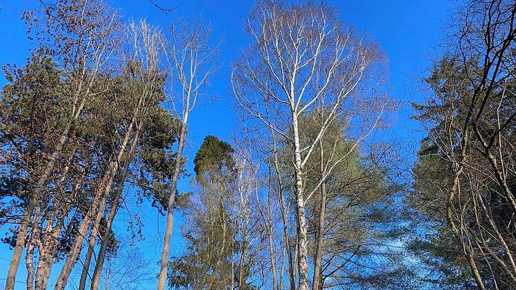Auf der Hornschuchhöhe. Foto: Jürgen Gärtner