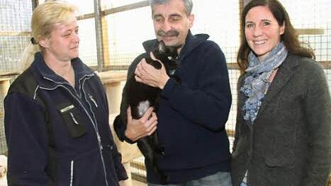 Kater Mohrle hat es vergleichsweise gut: Er bekommt Streicheleinheiten von der Leiterin des Tierheims, Caroline Hetzel-Farr (links), vom Vorsitzenden des Tierschutzvereins, Rolf Herter, und  von Amtstierärztin Rebecca Holmes.