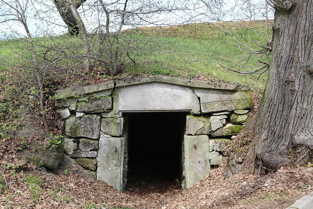 SoS Oberehrenbach im Landkreis Forchheim; Foto: Barbara Herbst