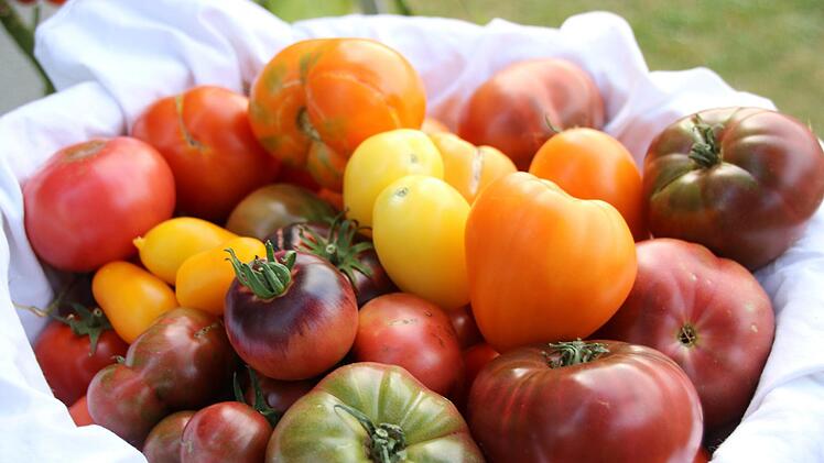 Eine schöner als die andere: Michaela Dörnhöfers TomatenDagmar Besand