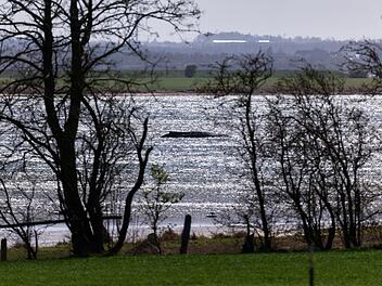 Buckelwal liegt weiter in Wismarbucht