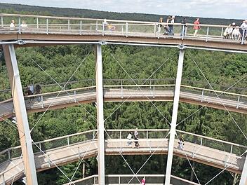 Meist in den Baumkronen verlaufend, bietet der &uuml;ber einen Kilometer lange Baumwipfelpfad bei Ebrach viele neue Eindr&uuml;cke rund um den Lebensraum Wald. Tausende von Besuchern haben mittlerweile die Attraktion im Steigerwald kennengelernt. Foto: Archiv