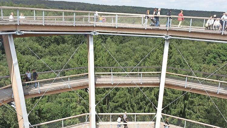 Meist in den Baumkronen verlaufend, bietet der &uuml;ber einen Kilometer lange Baumwipfelpfad bei Ebrach viele neue Eindr&uuml;cke rund um den Lebensraum Wald. Tausende von Besuchern haben mittlerweile die Attraktion im Steigerwald kennengelernt. Foto: Archiv