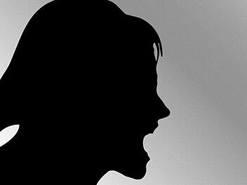 Der streit zwischen zwei Frauen eskaliert am Montagmorgen im N&uuml;rnberger Bahnhof bis die Eine mit einer Kr&uuml;cke zuschl&auml;gt. Symbolbild: pixabay.com/OpenClipart-Vectors