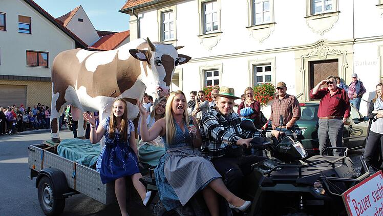 Ein Landwirt aus einem Wachenrother Ortsteil ist derzeit öfters im TV zu sehen. Stoff genug für einen Kerwaswagen.     Foto: Evi Seeger