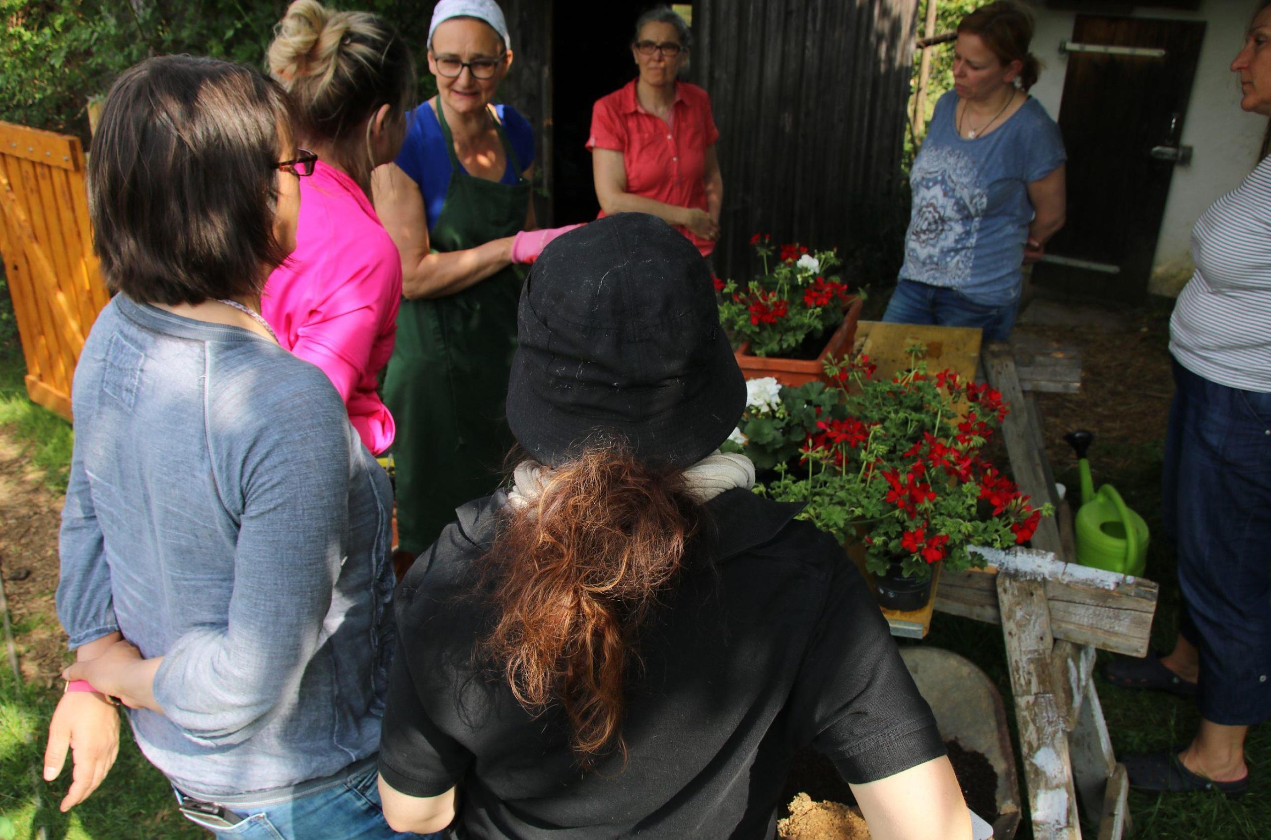 mission gardener der grüne daumen der rache