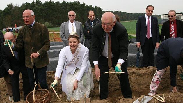 Ob von zarter Hand der neuen Spargelprinzessin Chrsitina I. oder mit  Routine "gestochen" (von links): Zweite B&uuml;rgermeisterin Elke Eberl, Spargelbauer Hans Ott, Berzirkstagspr&auml;sident G&uuml;nther Denzler und B&uuml;rgermeister Klaus Homann. Fotos: Werner Baier