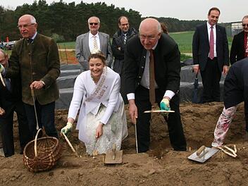 Ob von zarter Hand der neuen Spargelprinzessin Chrsitina I. oder mit  Routine "gestochen" (von links): Zweite B&uuml;rgermeisterin Elke Eberl, Spargelbauer Hans Ott, Berzirkstagspr&auml;sident G&uuml;nther Denzler und B&uuml;rgermeister Klaus Homann. Fotos: Werner Baier
