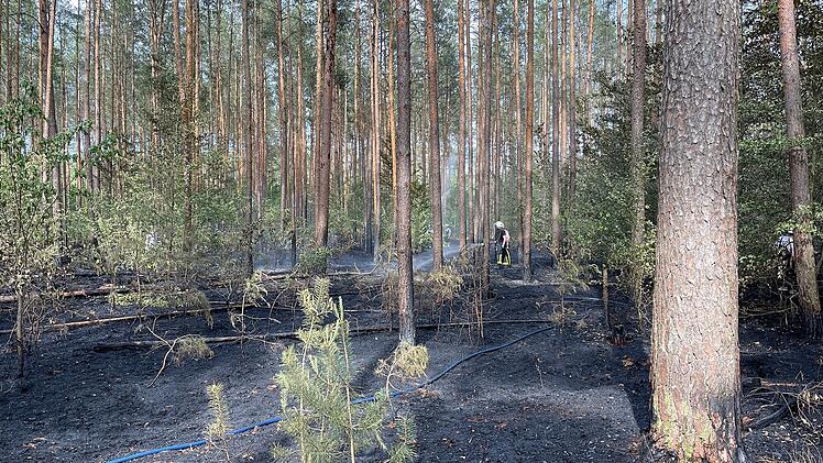 Strullendorf: Waldbrand im Landkreis Bamberg - "Wären nicht zurechtgekommen"