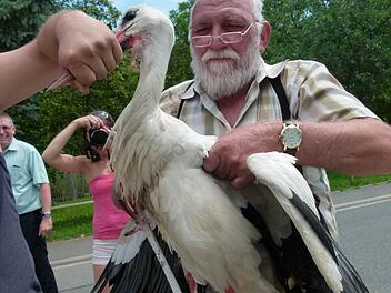 Für Leo Jahrsdörfer vom Bauhof war es nicht so leicht, das verstörte Tier zu bändigen. Foto:Lothar Weidner