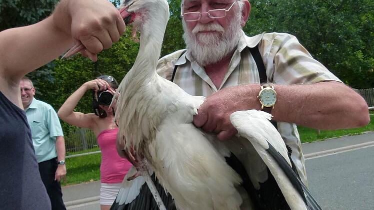 Für Leo Jahrsdörfer vom Bauhof war es nicht so leicht, das verstörte Tier zu bändigen. Foto:Lothar Weidner