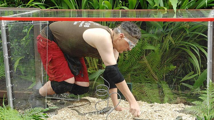 Rolfe sucht bei der Dschungelprüfung nach dem Stern. Foto: RTL Alle Infos zu "Ich bin ein Star - Holt mich hier raus!" im Special bei RTL.de: www.rtl.de/cms/sendungen/ich-bin-ein-star.html