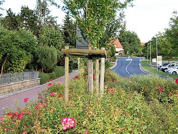 Für die Grünanlagen an der Hauptstraße in Oerlenbach und manches mehr brauchen Anlieger nicht zu zahlen. Foto: Sigismund von Dobschütz