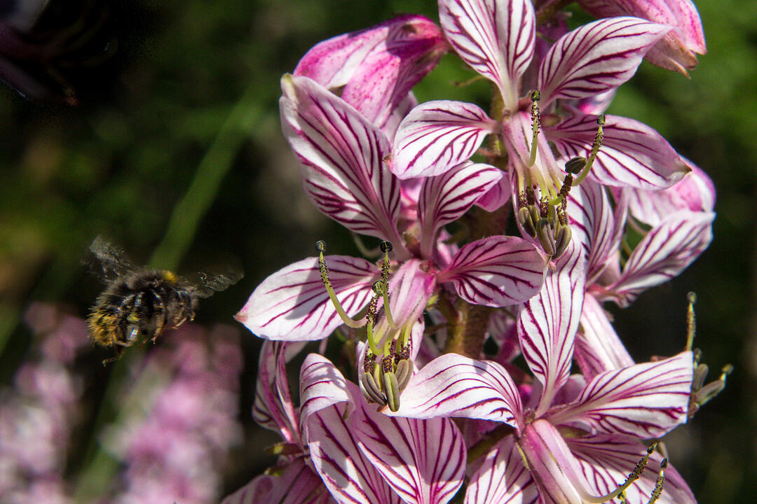 Fotos Konrad Thomann