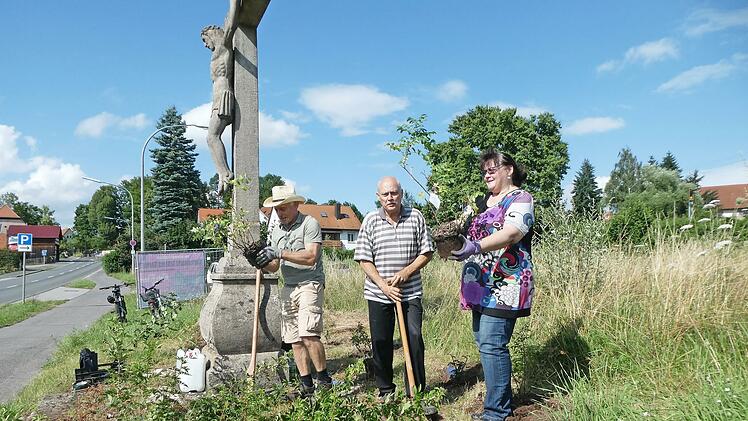 Mitglieder des Obst- und Gartenbauvereins Ebern pflanzen Wildrosen am Steinkreuz in Klein-Nürnberg.