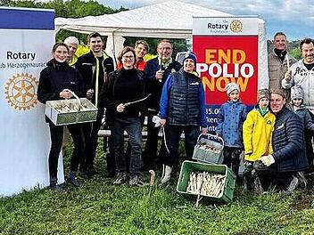 Die Mitglieder des Rotary Clubs Herzogenaurach ernteten Spargel.