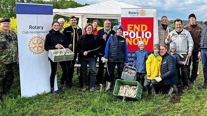 Die Mitglieder des Rotary Clubs Herzogenaurach ernteten Spargel.