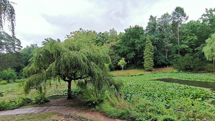 Bamberger Hainweiher