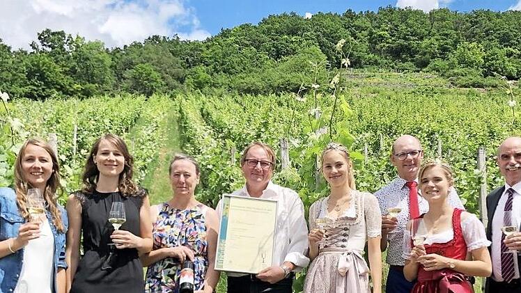 Eine glückliche Stunde: Zur Überreichung des zweiten Preises beim 16. internationalen Müller-Thurgau-Award 2020 versammelten sich (von links) die Familie Berninger mit den Töchtern Johanna und Karolin, Ute und Jürgen, Bodensee-Weinprinzessin Lea Saible, Bürgermeister Thomas Stadelmann, die Abt-Degen-Weintalprinzessin Anna-Lena Werb und der fränkische Weinbaupräsident Artur Steinmann. Fotos: Tobias Körlin