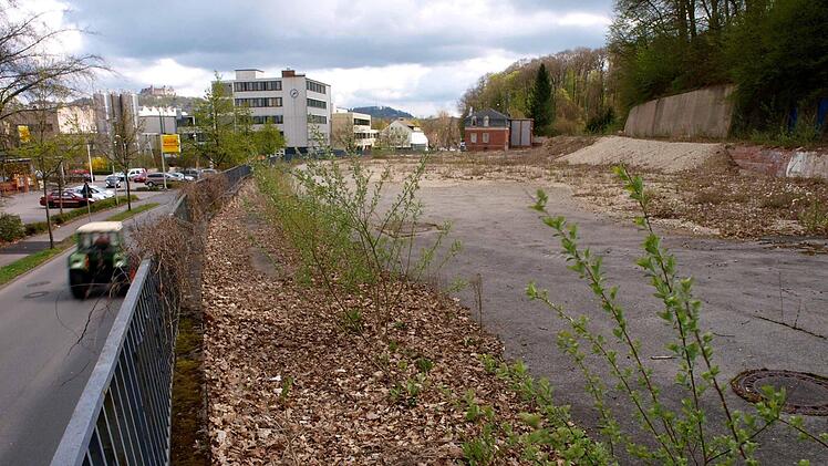 Auf dem Gelände der früheren Brauerei Sturm an der Callenberger Straße soll ein Seniorenpflegeheim mit bis zu etwa 170 Plätzen entstehen. Foto: Christoph Winter
