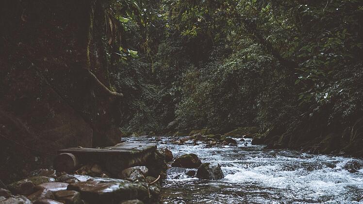 Coburg: Stadt warnt wegen "extrem trockenen Sommer" - diese Handlung ist strikt verboten