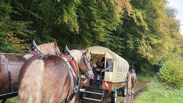 Für die Gäste aus den Hochwassergebieten ging es im Altlandkreis unter anderem auf eine Kutschfahrt.