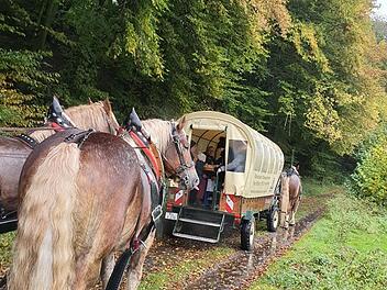 Für die Gäste aus den Hochwassergebieten ging es im Altlandkreis unter anderem auf eine Kutschfahrt.