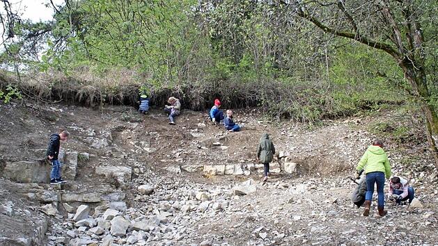 Die Teilnehmer suchen unter anderem Fossilien.  Foto: pr