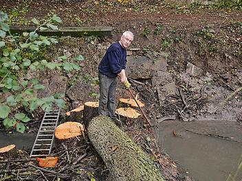 Der Dammbau eines Bibers hat bei Großbardorf für erheblichen Ärger gesorgt. Nach Meinung des Grundstückseigentümers Michael Mauer (Hollstadt) entstand ein Schaden von rund 10.000 Euro. Fotos: Friedrich
