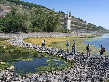 Extremes Niedrigwasser auf dem Rhein
