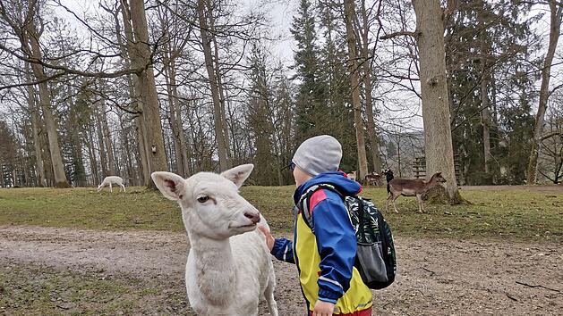Wildpark Schloss Tambach