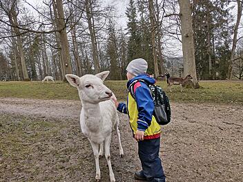 Wildpark Schloss Tambach