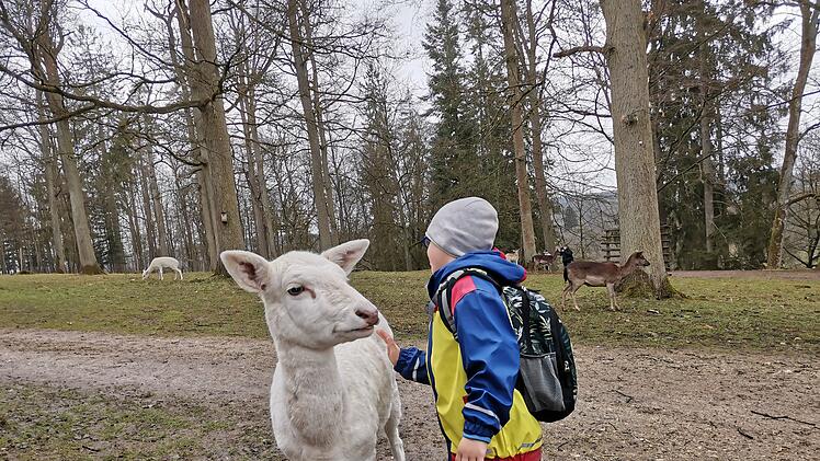 Wildpark Schloss Tambach