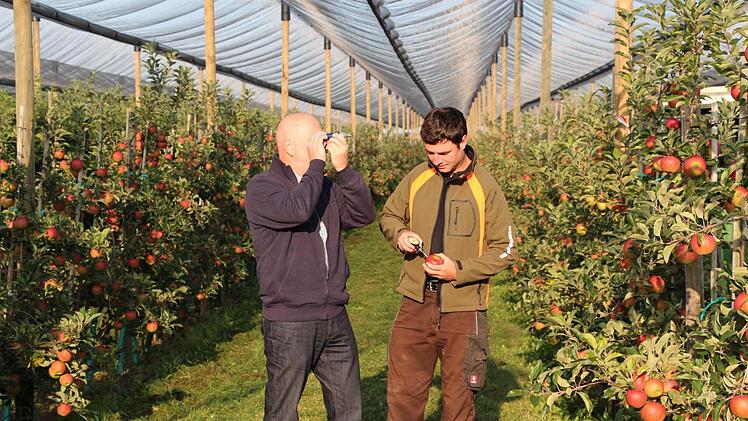 Obstbauberater Thomas Riehl vom Grünen Zentrum in Kitzingen und Obstbauer Christoph Göbel aus Bergtheim (rechts) testen die Pflückreife der Sorte "Elstar".  Foto: Fränkische Obstbauern e.V.